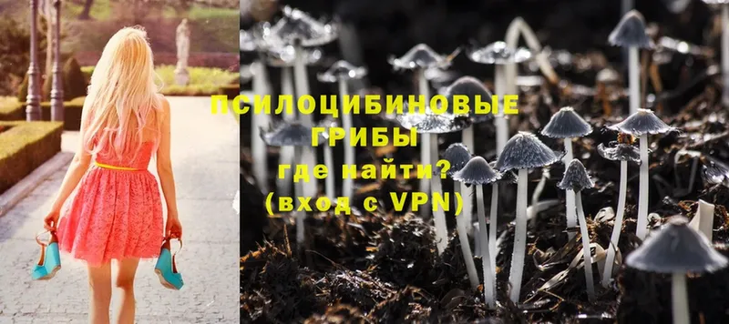 Галлюциногенные грибы MAGIC MUSHROOMS  Балашов 